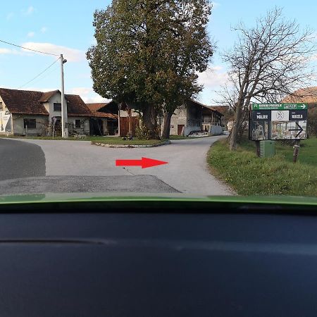 Guesthouse Braslovce - Celje Luaran gambar
